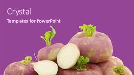  Presentation with purple spring - Amazing presentation design having freshly harvested spring turnip brassica rapa and a cut one on a purple background backdrop and a violet colored foreground