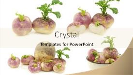  Presentation with spring - Cool new PPT theme with freshly-harvested-spring-turnips-brassica backdrop and a lemonade colored foreground