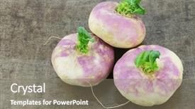  Presentation with spring - Cool new slides with freshly harvested spring turnips brassica backdrop and a  colored foreground