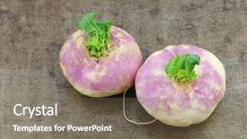  Presentation with spring - Amazing slide deck having freshly harvested spring turnips brassica backdrop and a  colored foreground