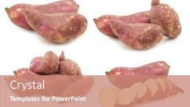  Presentation with sweet potato - Beautiful PPT theme featuring freshly-harvested-sweet-potato backdrop and a coral colored foreground