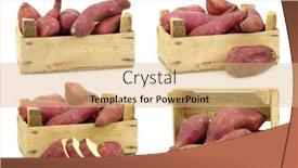  Presentation with cut - Colorful slide set enhanced with freshly-harvested-sweet-potatoes backdrop and a coral colored foreground
