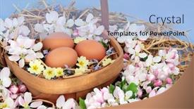  Presentation with blue food - Presentation design featuring freshly-laid-brown-eggs background and a light blue colored foreground