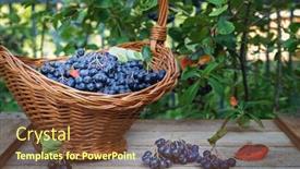  Presentation with wicker - Amazing slide set having freshly-picked-aronia-berries backdrop and a tawny brown colored foreground