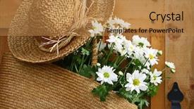  Presentation with summer flowers - Presentation design enhanced with freshly picked daisies hanging background and a  colored foreground