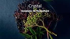  Presentation with healthy food - Presentation consisting of freshly-picked-elderberry-on-dark background and a  colored foreground