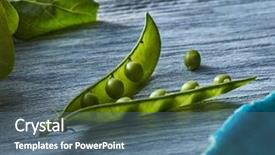  Presentation with peas - Amazing slide deck having freshly picked green peas backdrop and a ocean colored foreground