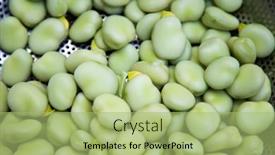  Presentation with green - Presentation featuring freshly-picked-green-ripe-fava background and a mint green colored foreground