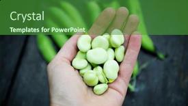  Presentation with beans - PPT theme featuring freshly-picked-green-ripe-fava background and a forest green colored foreground