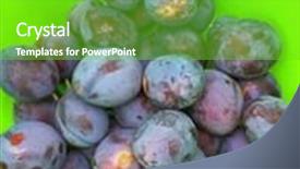  Presentation with grown - PPT theme having freshly picked home grown organic plums inside green plastic bucket during autumn in austria background and a shamrock green colored foreground