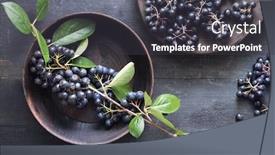  Presentation with berries - Slide deck having freshly-picked-homegrown-aronia-berries background and a dark gray colored foreground