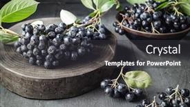  Presentation with berries - Audience pleasing PPT theme consisting of freshly-picked-homegrown-aronia-berries backdrop and a dark gray colored foreground