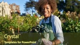  Presentation with community garden - Colorful presentation design enhanced with freshly picked kale at urban backdrop and a tawny brown colored foreground