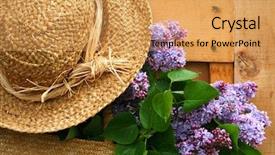  Presentation with lilacs - Theme with freshly picked lilacs hanging background and a  colored foreground