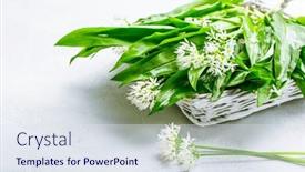  Presentation with garlic - PPT layouts consisting of freshly-picked-ramson-or-wild background and a sky blue colored foreground