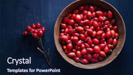  Presentation with hip - Cool new presentation design with nutrition healing - freshly picked rose hips wooden backdrop and a navy blue colored foreground
