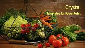  Presentation with vegetables - Colorful presentation design enhanced with freshly picked vegetables on metal backdrop and a tawny brown colored foreground