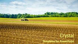 Presentation with kentucky - PPT theme with freshly planted tobacco sprouts background and a tawny brown colored foreground