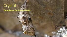  Presentation with chrysalis - Cool new slide set with freshly-pupated-fritillary-butterfly-chrysalis backdrop and a tawny brown colored foreground