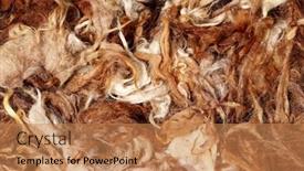  Presentation with wool - Audience pleasing PPT theme consisting of freshly-sheared-camel-wool-flakes backdrop and a coral colored foreground