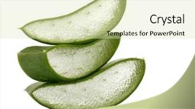  Presentation with aloe vera - Colorful presentation theme enhanced with freshly sliced aloe vera backdrop and a soft green colored foreground
