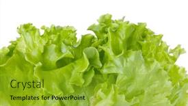  Presentation with white green - Colorful presentation design enhanced with freshness-green-lettuce-salad-isolated backdrop and a gold colored foreground