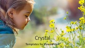  Presentation with easter bunny yellow spring flower - PPT theme enhanced with freshness of small yellow wildflowers background and a yellow colored foreground