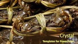  Presentation with crabs - Slides with freshwater crabs background and a tawny brown colored foreground