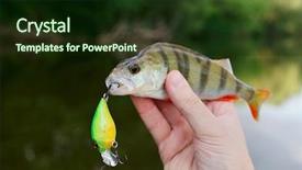  Presentation with plastic in chemistry - Colorful PPT theme enhanced with freshwater fishing - small perch caught backdrop and a  colored foreground