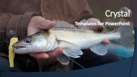  Presentation with fisherman - Beautiful slides featuring  backdrop and a  colored foreground.