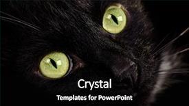  Presentation with beautiful green - Slides consisting of friday night - beautiful green-eyed cat face close background and a black colored foreground