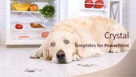  Presentation with fridge - Cool new slide deck with fridge and muddy paw print backdrop and a lemonade colored foreground