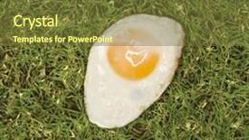  Presentation with egg - Colorful presentation design enhanced with fried-egg-in-grass backdrop and a tawny brown colored foreground