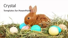  Presentation with eggs egg carton egg box - Theme enhanced with friend christ - cute funny rabbit and colorful background and a white colored foreground