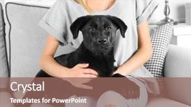  Presentation with black woman praying - Beautiful presentation design featuring friendly black retriever with young backdrop and a violet colored foreground