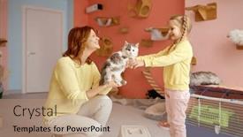  Presentation with animal shelter - Presentation theme with friendly-smiling-woman-giving-cat background and a coral colored foreground