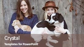  Presentation with baby animals - PPT layouts with cute young dog and baby background and a violet colored foreground