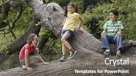  Presentation with three legged stool - Amazing slide set having friends relaxing on fallen tree backdrop and a gray colored foreground