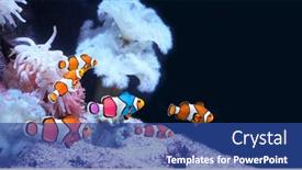  Presentation with tolerance - Presentation with friendship-and-tolerance-concept background and a ocean colored foreground