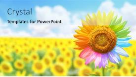  Presentation with ordinary - PPT theme featuring friendship-and-tolerance-concept background and a light blue colored foreground