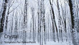  Presentation with nature big tree - Amazing presentation having frigid - forest trees nature snow wood backdrop and a light blue colored foreground