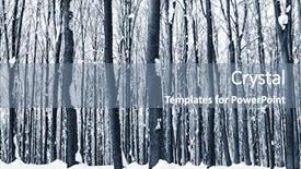  Presentation with nature big tree - Cool new theme with frigid - forest trees nature snow wood backdrop and a seafoam green colored foreground