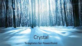  Presentation with snow - Theme having frigid - forest trees nature snow wood background and a light blue colored foreground