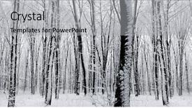  Presentation with nature big tree - Presentation design enhanced with ducks and drakes on the lake large concentration background and a gray colored foreground