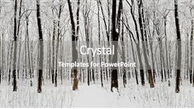  Presentation with nature big tree - Amazing presentation design having frigid - forest trees nature snow wood backdrop and a gray colored foreground