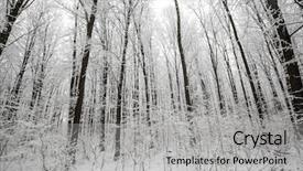  Presentation with winter forest - PPT theme having frigid - forest trees nature snow wood background and a light gray colored foreground