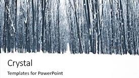  Presentation with nature big tree - Beautiful slides featuring frigid - forest trees nature snow wood backdrop and a white colored foreground