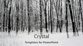  Presentation with nature big tree - Slide deck with frigid - winter forest trees nature snow background and a light gray colored foreground