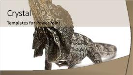  Presentation with water monitor lizard or varanus - Beautiful PPT layouts featuring frill-necked lizard also known backdrop and a coral colored foreground