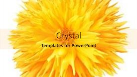  Presentation with dahlia - Slide deck enhanced with frilly-yellow-dahlia-on-white background and a yellow colored foreground